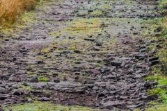 Sarn Helen Roman Road, A close-up of the road surface