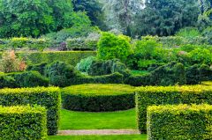 Formal gardens near the house