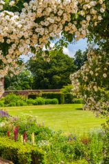 The gardens in summer
