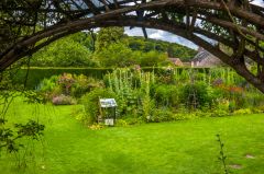 A garden arch