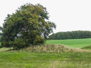 Seven Barrows