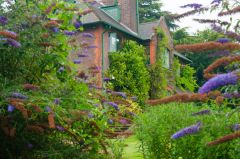 The house glimpsed from the garden