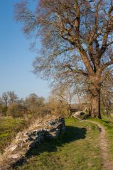 North west Roman wall