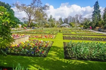 Singleton Park Botanic Gardens