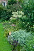 Top Courtyard borders