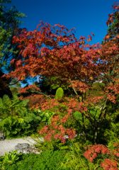 Beautiful autumn colours