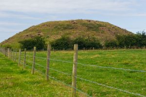 Skipsea Castle