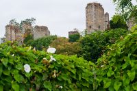 Slingsby Castle ruins