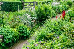 Garden colour in late Spring