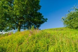 South Cadbury Castle