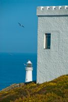 RSPB Ellin's Tower and lighthouse