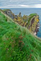 Looking north along the coast