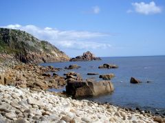 St Loy Cove (c) Mammal4