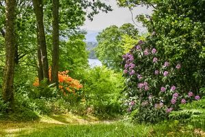 Stagshaw Garden