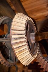 A wooden gear wheel