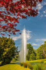 The Stanway fountain and canal
