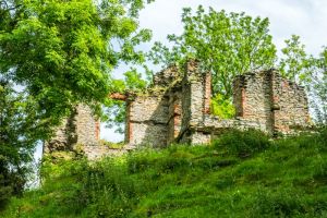 Stapleton Castle and Garden