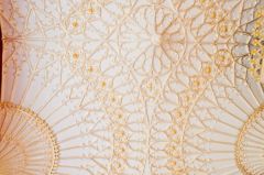 Vaulting in the Gallery