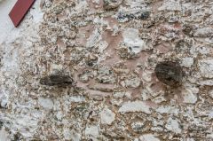 End wall construction with projecting corbels