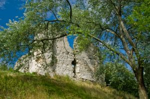 Sutton Valence Castle