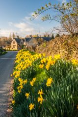 The 'main road' through Swinbrook