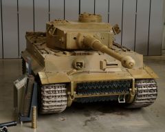 The Tiger 131 (c) Peter Trimming