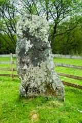 The west face of the stone