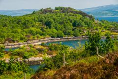 East Loch Tarbert from the castle