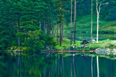 Still water at dawn gives beautiul reflections