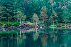 A quiet morning on the lake