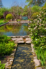 The Lily Pond