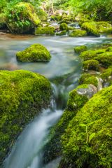 The water begins its fall