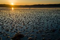 Sunset over The Strand