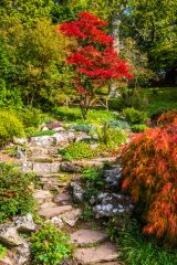 Stone path in the rock garden