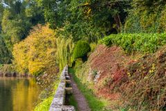 The riverside wak and a weeping willow tree