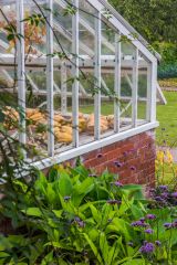 A glasshouse in the walled garden