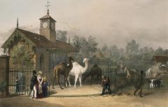 The Camel House in 1835