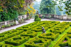 The knot garden