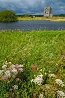 Riverside flowers look to the castle