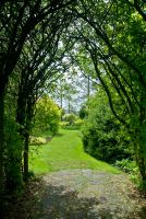Threave Garden, Shaded walk