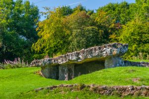 Tinkinswood Burial Chamber