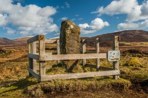 Tote Pictish Stone