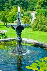 A garden fountain
