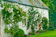 An outbuilding at Traquair