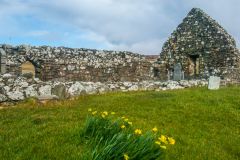 Daffodils in the churchyard