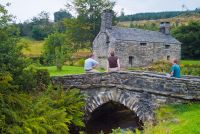 Families enjoying the location