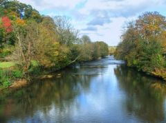 The River Taw at Umberleigh (c) Barrie Cann