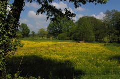 The Otter Valley from Upottery bridge (c) Christopher Hilton