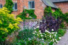 Colourful borders outside the Hall