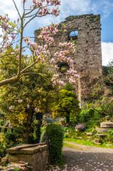 The Great Tower in Spring